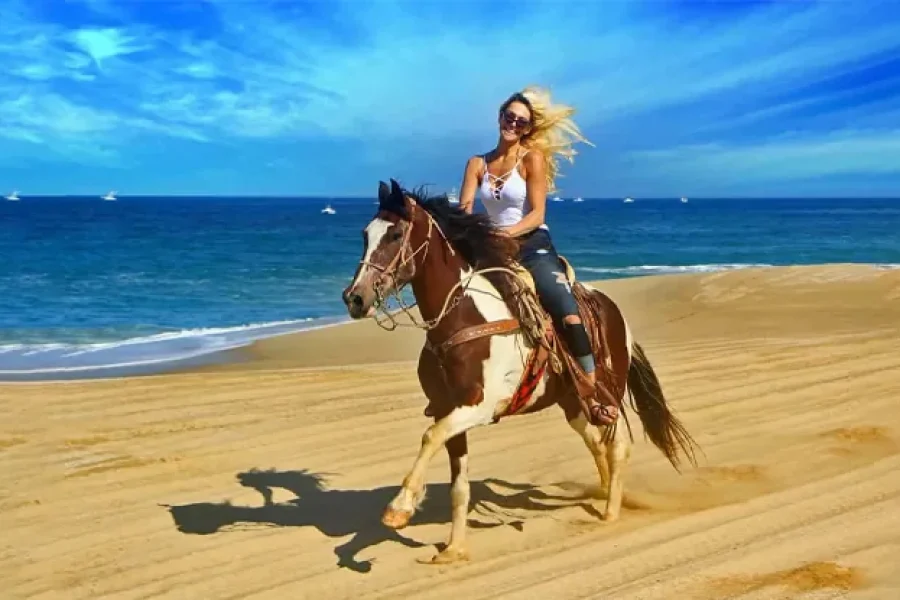 Beach Horse Riding Experience