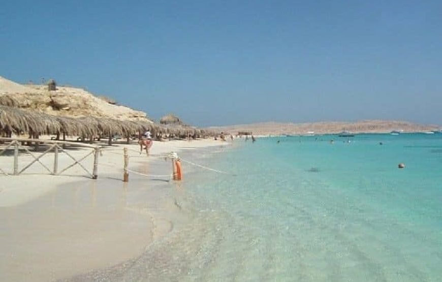 Mahmya Island Trip